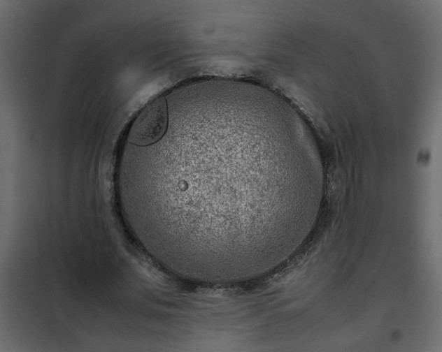 X0000102340679200808081131