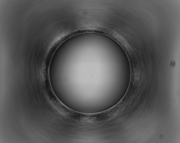 X0000102340680200808081131