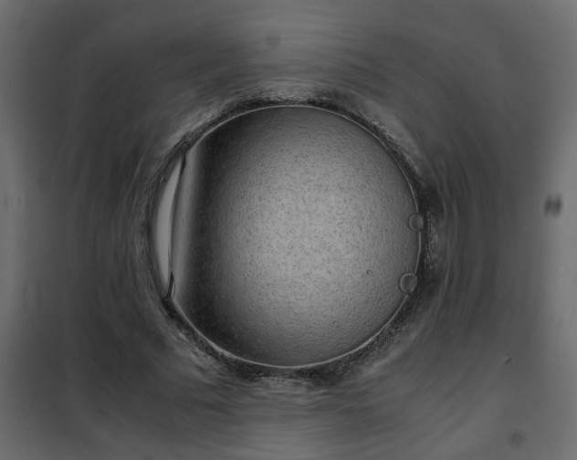 X0000102340681200808081131