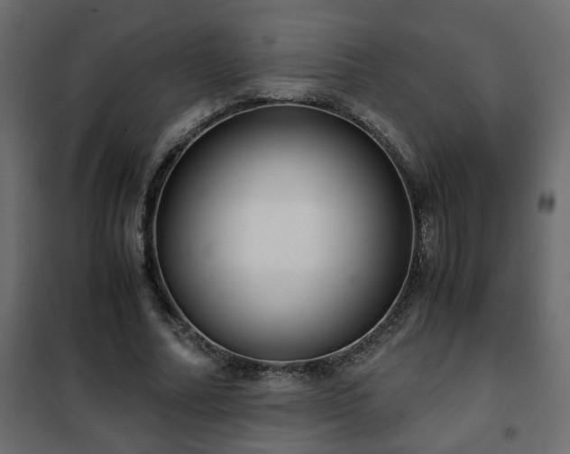 X0000102340682200808081131