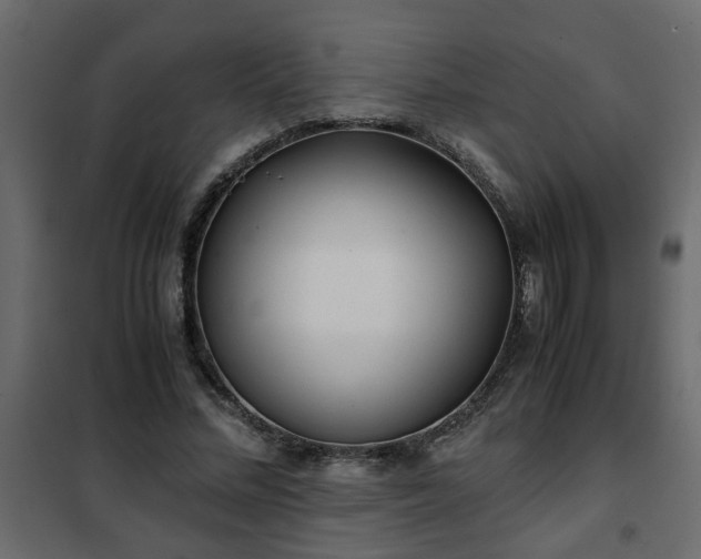 X0000102340684200808081131