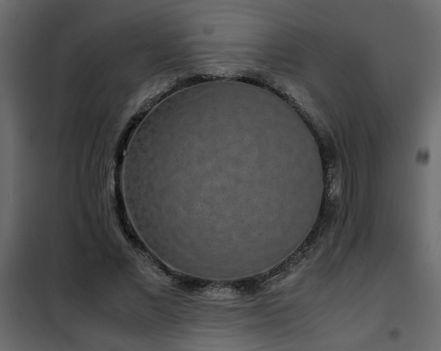 X0000102340685200808081131