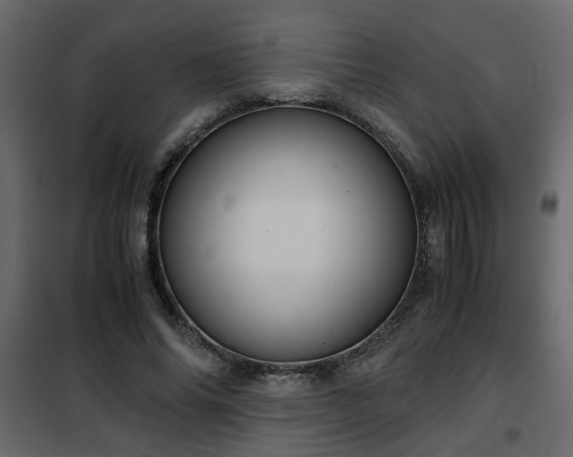 X0000102340686200808081131