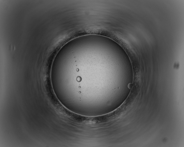 X0000102340687200808081131