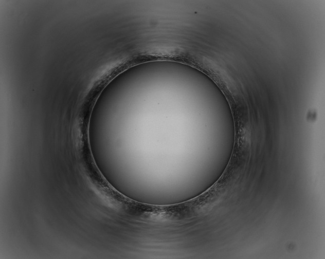 X0000102340688200808081131