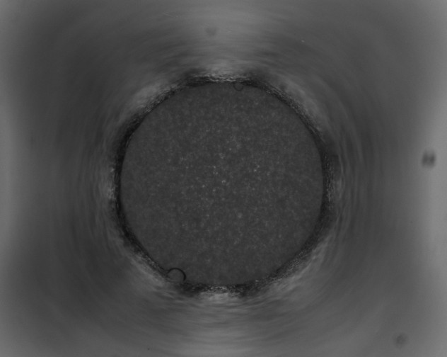 X0000102340689200808081131