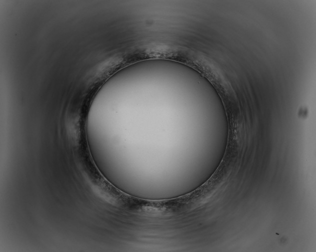 X0000102340690200808081131