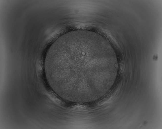 X0000102340691200808081131