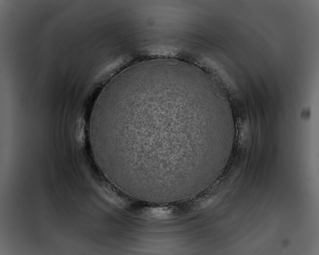 X0000102340692200808081131