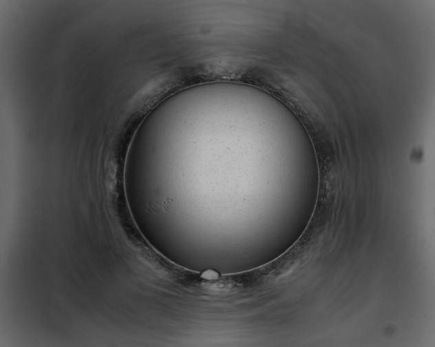 X0000102340693200808081131