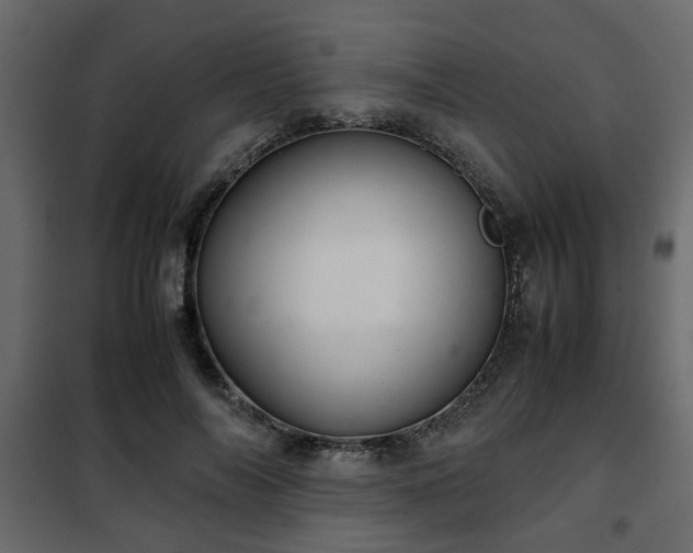 X0000102340694200808081131