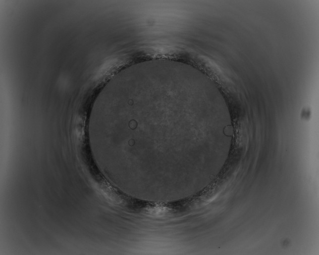 X0000102340695200808081131