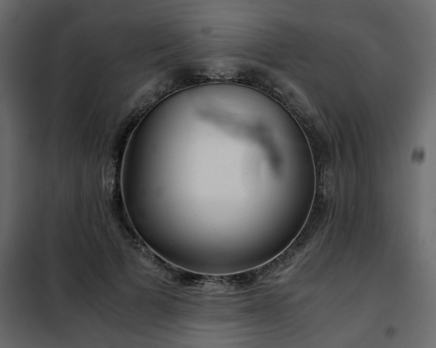 X0000102340697200808081131