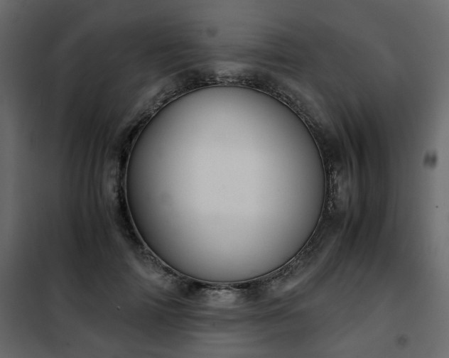 X0000102340698200808081131