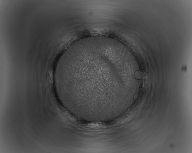 X0000102340699200808081131