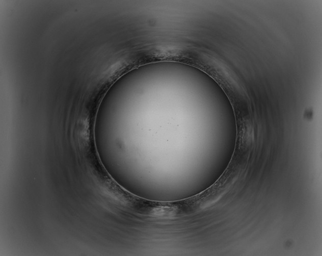 X0000102340700200808081131