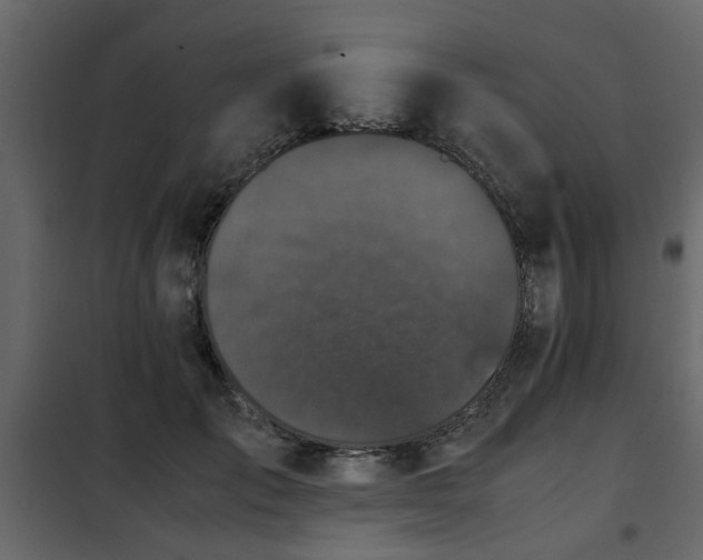 X0000102340701200808081131