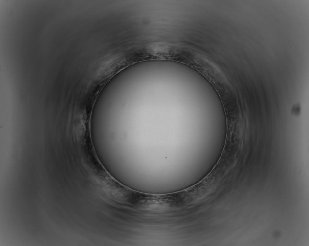 X0000102340702200808081131