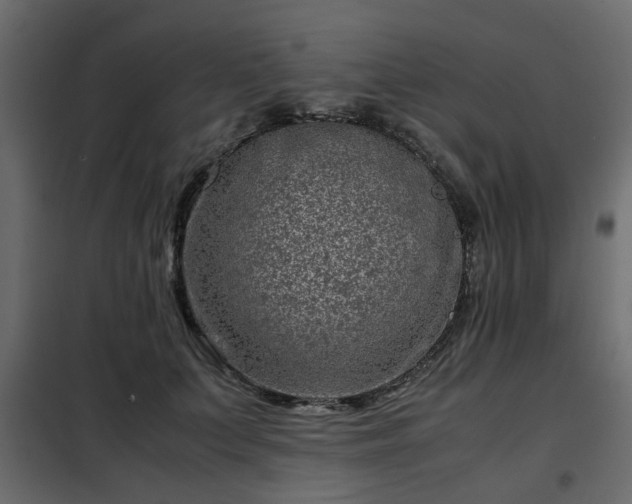 X0000102340703200808081131