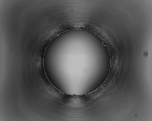 X0000102340704200808081131