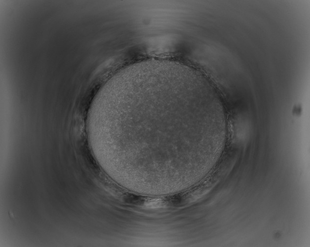 X0000102340705200808081131