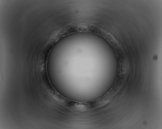 X0000102340706200808081131