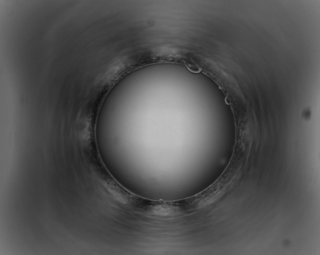 X0000102340708200808081131