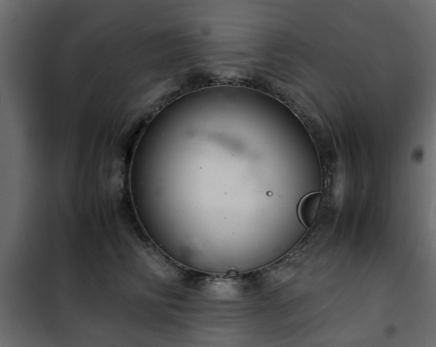 X0000102340710200808081131