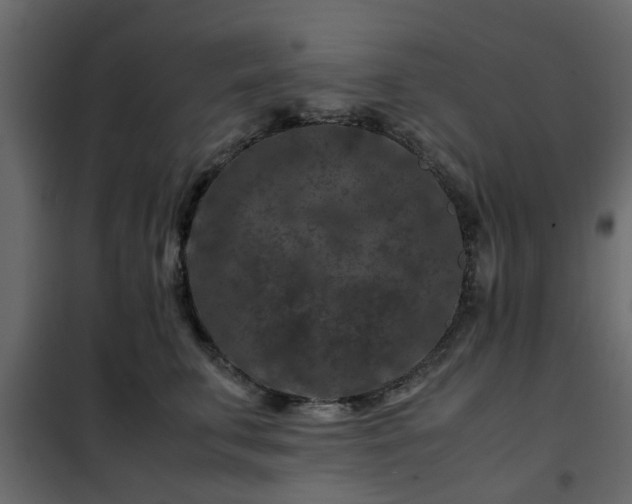 X0000102340711200808081131