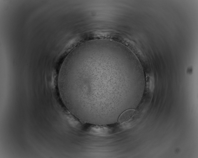 X0000102340712200808081131