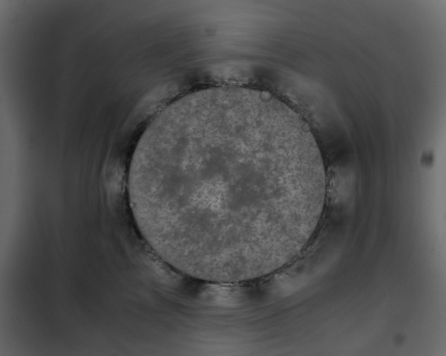 X0000102340713200808081131