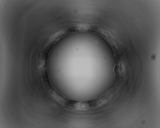 X0000102340714200808081131