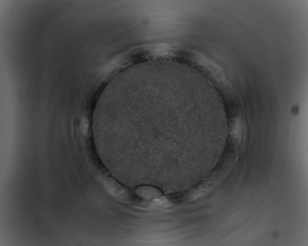 X0000102340715200808081131