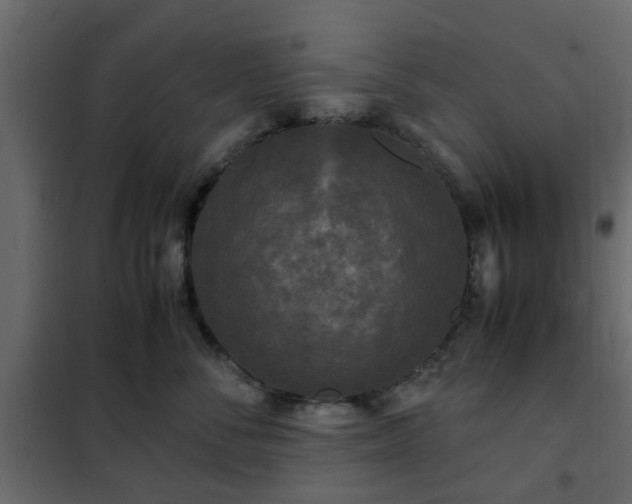 X0000102340716200808081131