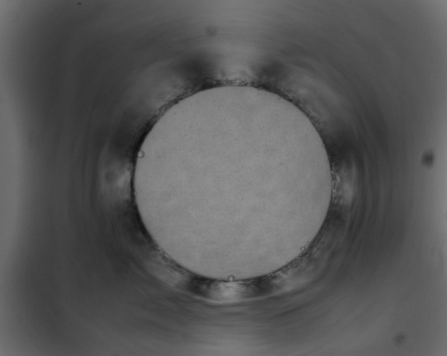 X0000102340717200808081131