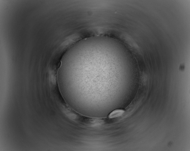 X0000102340719200808081131