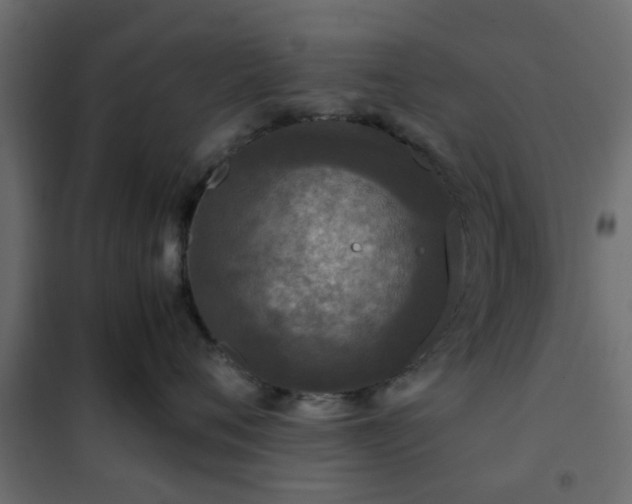 X0000102340720200808081131