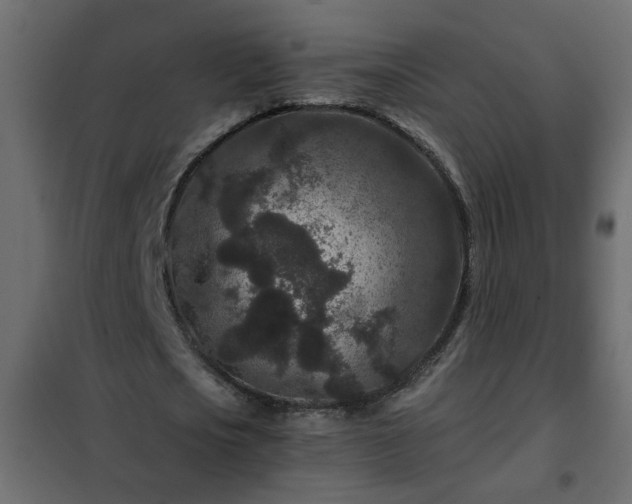 X0000102340721200808081130