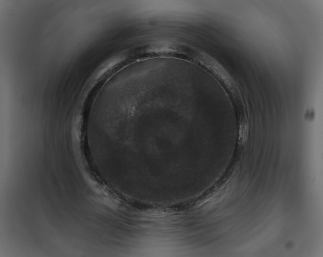 X0000102340724200808081130