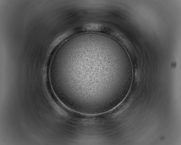 X0000102340725200808081130