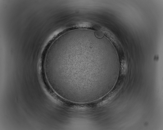 X0000102340726200808081130