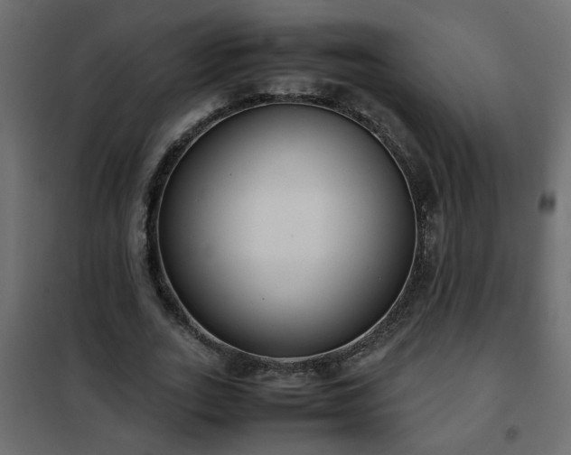 X0000102340727200808081130