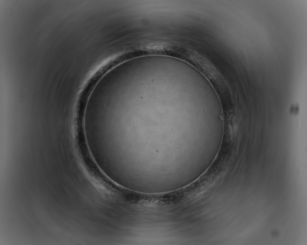 X0000102340728200808081130