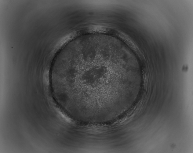 X0000102340729200808081130