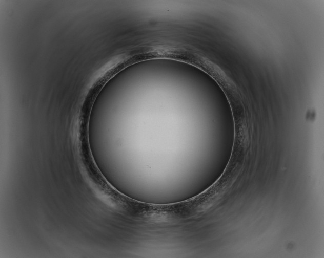 X0000102340730200808081130