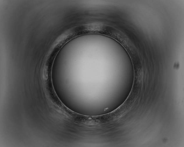 X0000102340731200808081130