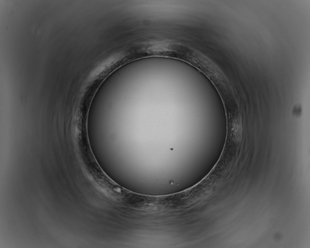 X0000102340732200808081130