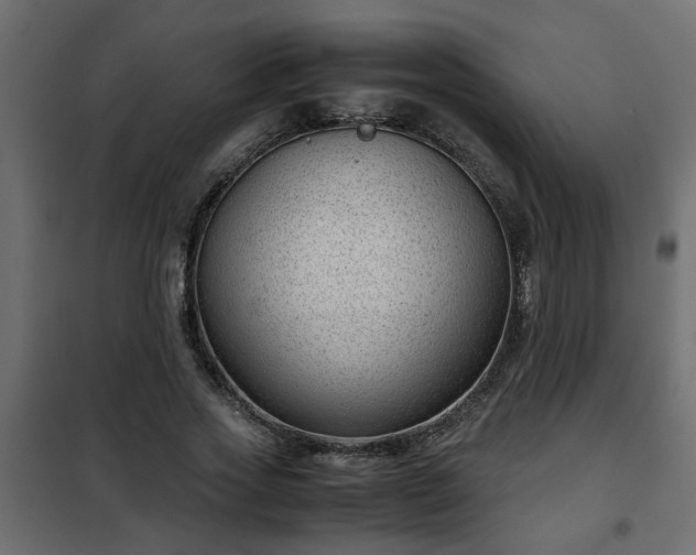 X0000102340733200808081130