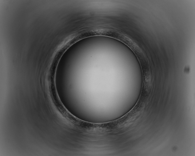 X0000102340734200808081130