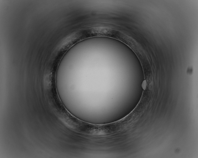 X0000102340735200808081130